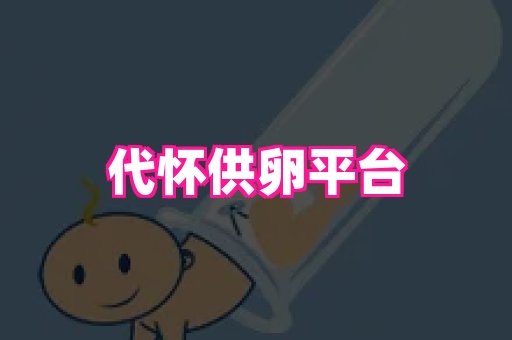 swisee孕网 2