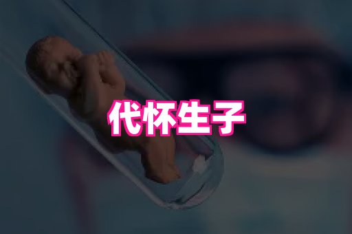 swisee孕网 3